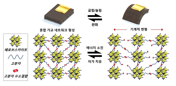 페로브스카이트-고분자 혼합 가교 네트워크 형성에 따른 기계적 변형에 대한 안정성 및 자가 치유 메커니즘