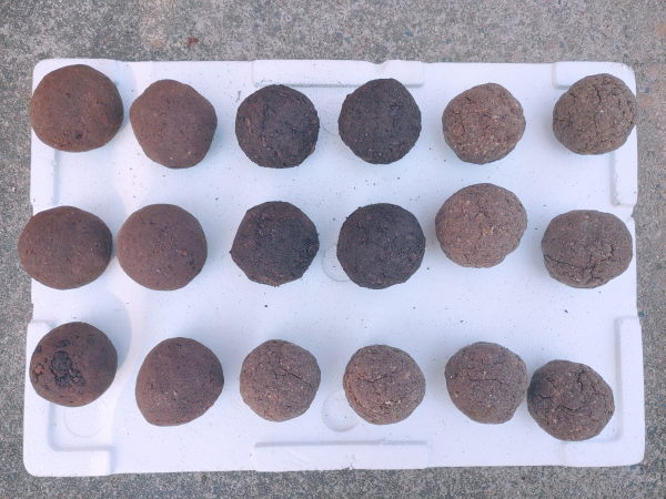 액젓김황백화 치료제