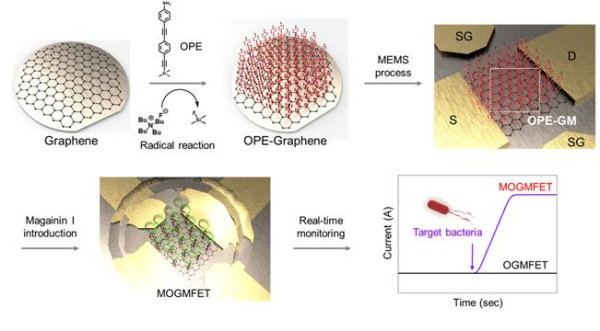 박테리아 검출용 바이오나노 센서 모식도