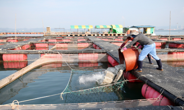 친환경 부표 지원 추진(구매항 가두리)