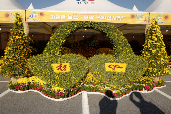 국화전시회 개최 모습