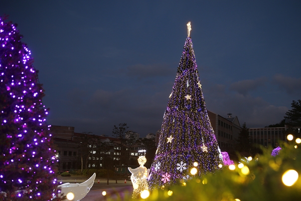 목원대 크리스마스 트리