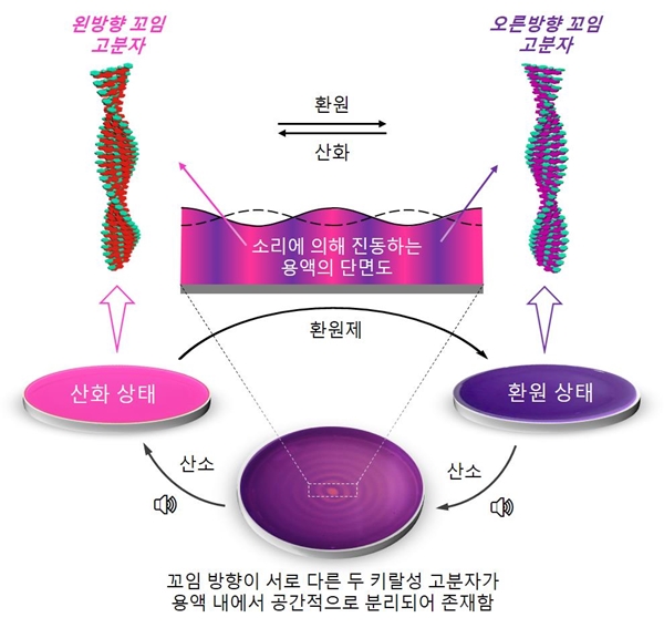 소리를 이용한 키랄성 분자들의 공간적 분리