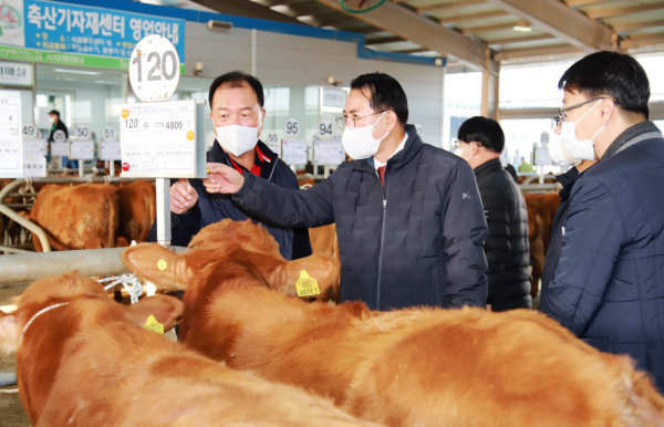 18일 이완섭 서산시장이 음암면 상홍리에 있는 가축경매시장을 방문해 한우농가와 축산관계자를 격려했다