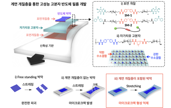 그림 1. 막의 파괴 기계적 거동 변화 개념도.