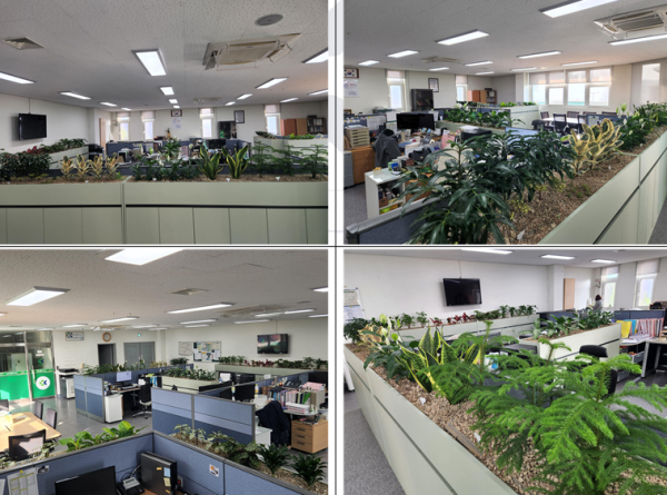 실내 공기질 향상 그린오피스 조성 모습