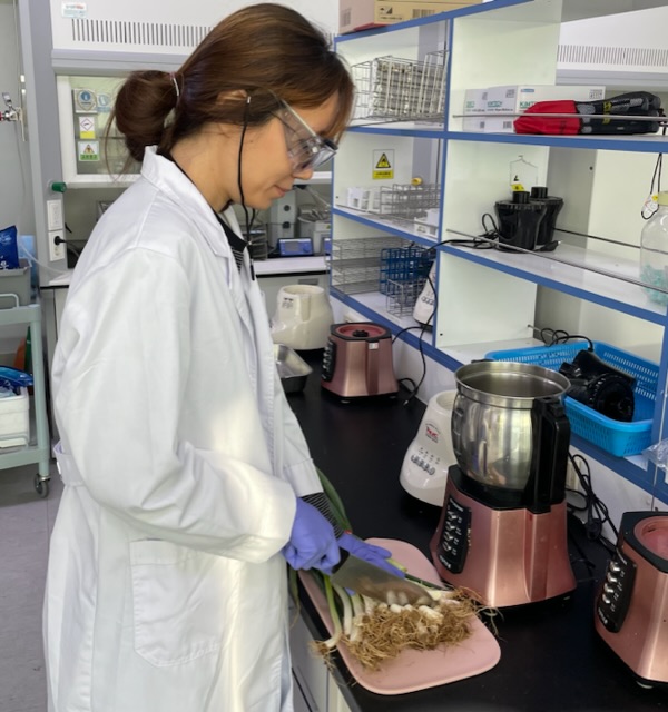 잔류농약검사사진