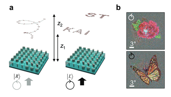 유니버설 메타표면을 통해 구현한 3차원 벡터 홀로그램