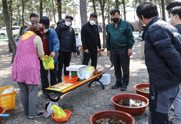 태안군 국민정책디자인단 활동 모습( 수산물 판매 행사).