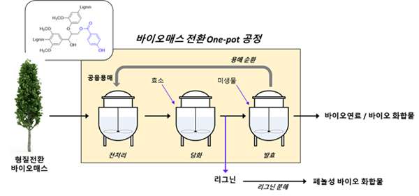 친환경 공융용매를 이용한 바이오매스로부터 바이오연료 및 바이오 화합물을 생산하는 원팟 전환 공정
