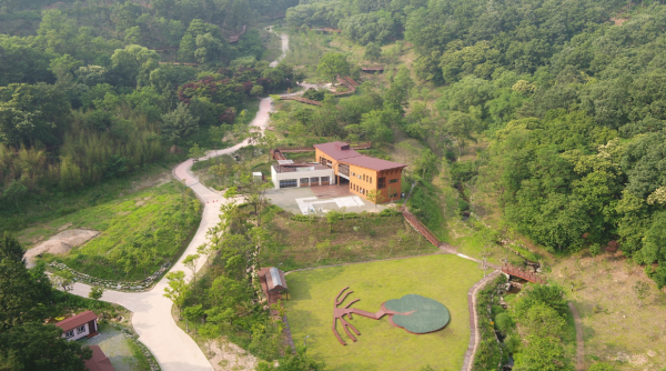 대전 치유의 숲 전경