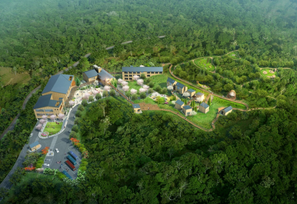 대전 치유의 숲 전경