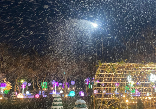‘미리 메리크리스마스’ 눈내리는 오월드 풍경
