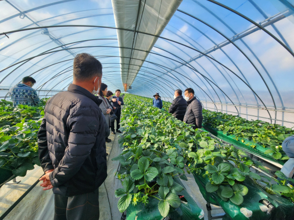 시설채소․화훼 분야 평가회 사진 (딸기하우스)