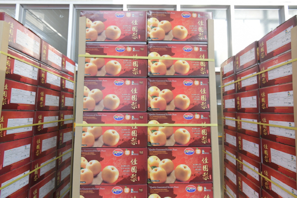 ‘고맛나루 배’ 9년 연속 대만으로 수출