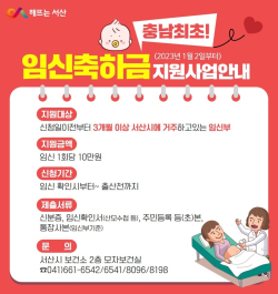 임신 축하금 지원 관련 홍보물