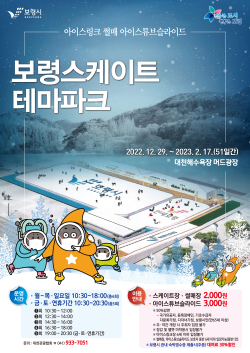 보령 스케이트 테마파크 포스터