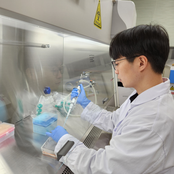 강성민 교수의 세포 배양 실험 모습