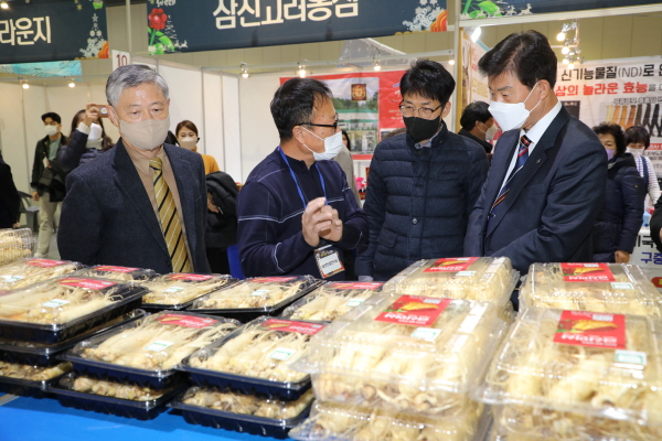 금산인삼 울산 특별전 모습