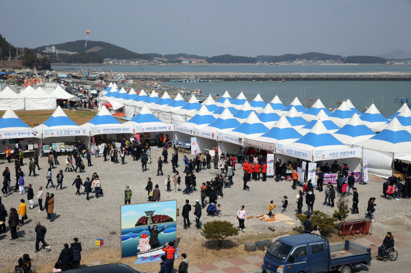 지난 2019년 동백꽃 주꾸미 축제 모습