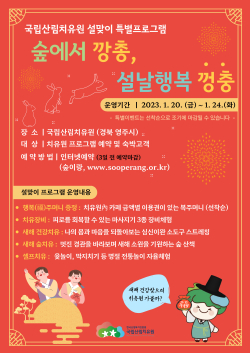 ‘숲에서 깡총, 설날행복 껑충’ 캠프 안내