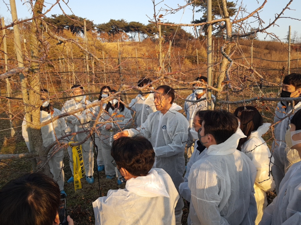 과수화상병 예찰 현장 교육 모습