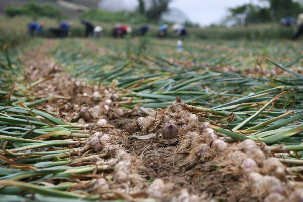 홍성농업, 자발적 온실가스 583톤 감축 성공