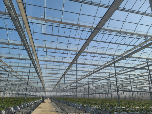 당진시 스마트팜 전경