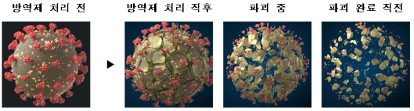 방역제를 뿌렸을 경우의 바이러스 사멸 모식도(바이러스 모형)
