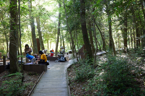 2022년 준공된 무장애나눔길(노고록 무장애나눔길).