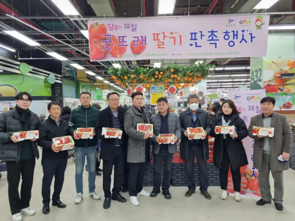 굿뜨래 딸기 판촉행사 현장 사진