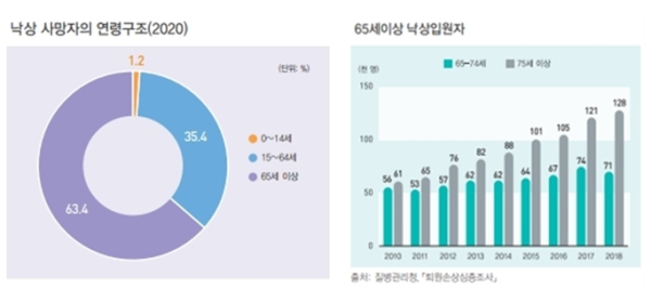 ( 출처 : 통계청, 한국인의 안전보고서 2021 )