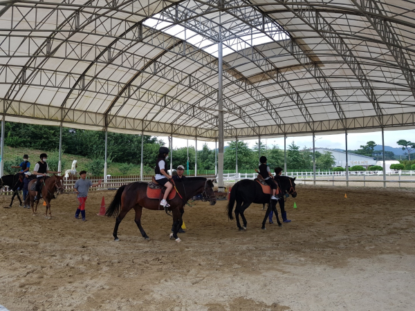 홍성군 승마장에서 재활승마를 하고 있다