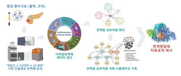 다종양 단일세포 구조단백체 분석을 통한 면역항암제 치료표적 발굴 연구