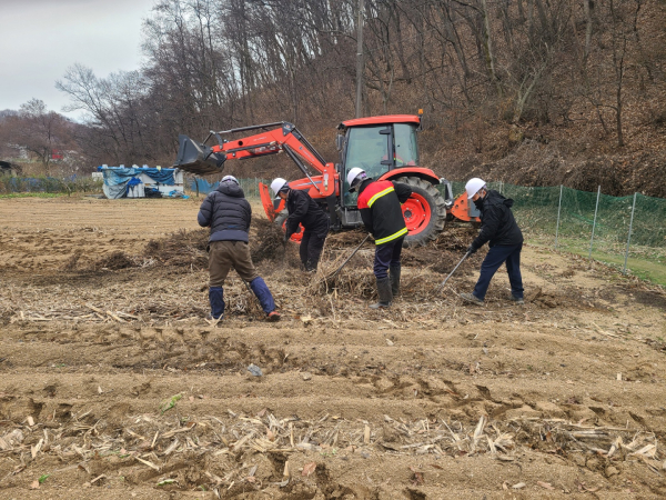 불법소각 방지 위한 영농부산물 파쇄 지원 모습