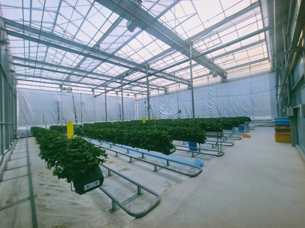 스마트팜의 모습