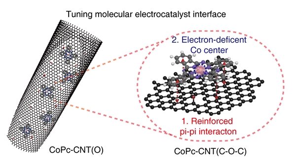 IBS 연구진이 개발한 촉매 모식도