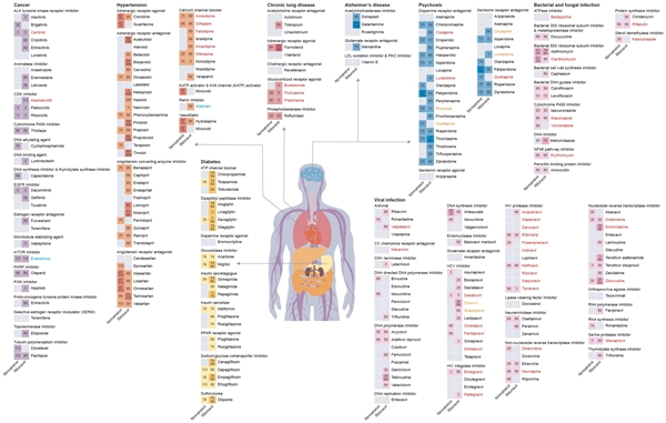 딥디디아이2(DeepDDI2)를 이용한 팍스로비드 성분과 대표 승인약물 간의 약물 상호작용 예측 결과