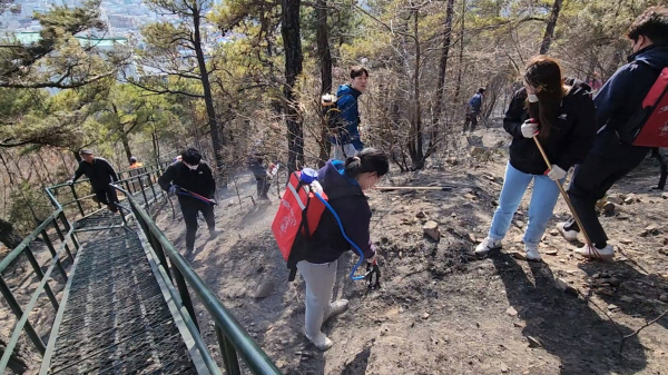 지난 18일 군청 직원들이 금오산 산불을 진압하는 모습