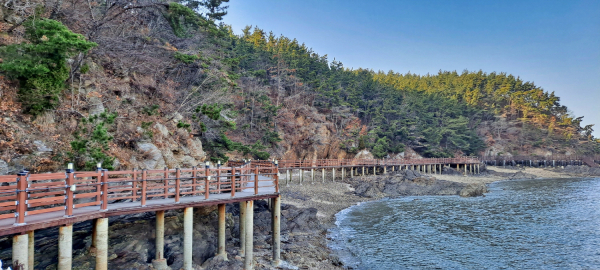 서해랑길 원정대 모집 (솔향기길)