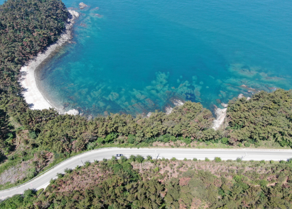 서해랑길 원정대 모집 (의항 태배길)