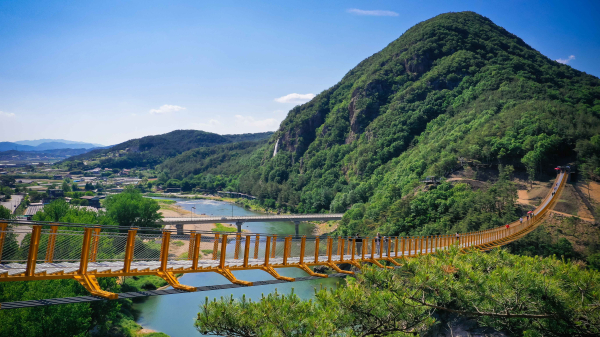 금산 월영산 출렁다리