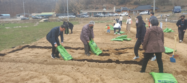 중구 무수동 일원 힐링텃밭에서 본격적인 농사 준비 중인 참여자 모습