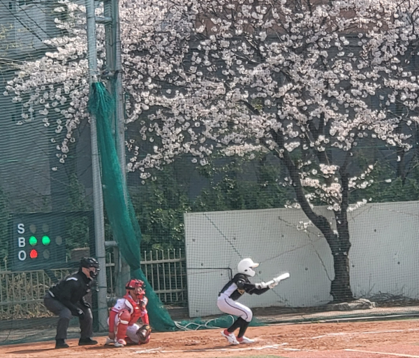 신흥초.유천초 경기모습
