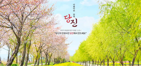 당진시 테마관광 여행 홍보물