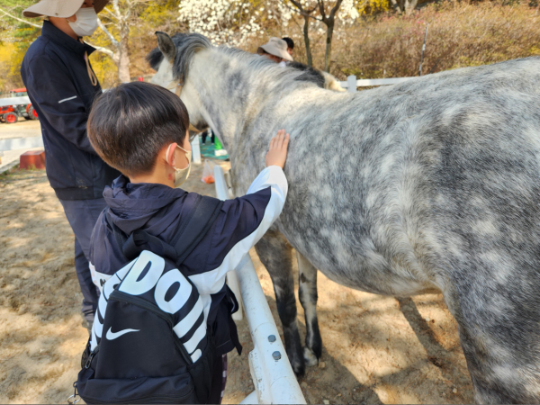 말과 교감하기 모습