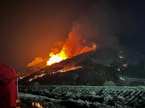 청라면 내현리 임야화재 현장 사진