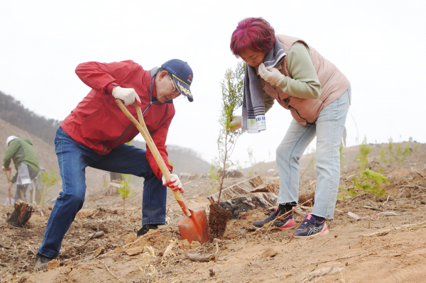이완섭 서산시장이 4일 운산면 고풍리 일원에서 열린 제78회 식목일 기념 나무심기 행사에서 참석자들과 함께 나무를 심고 있다