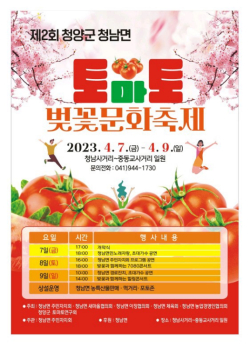 제2회 토마토벚꽃 문화축제 개최