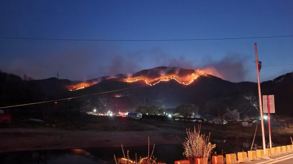 금산 복수면 산불 모습